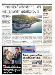 Síða 8