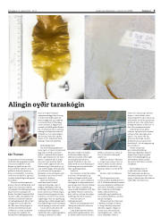 Síða 9