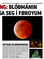 Síða 11