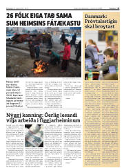 Síða 13