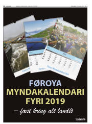 Síða 14
