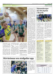 Síða 19