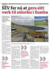 Síða 6