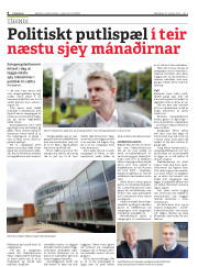 Síða 8