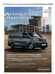 Síða 11