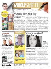Síða 2