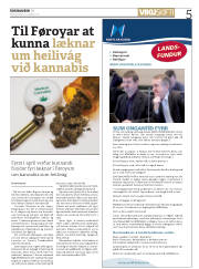Síða 5