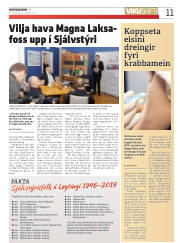 Síða 11