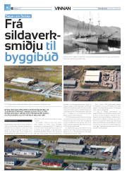 Síða 30