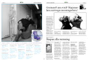 Síða 29