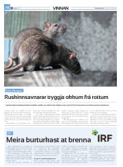 Síða 46