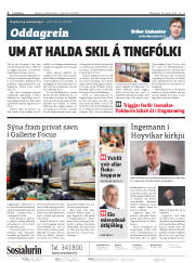 Síða 2