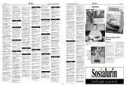 Síða 34