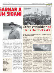 Síða 11