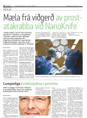 Síða 26