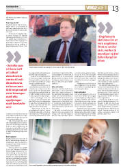 Síða 13