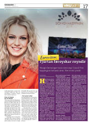 Síða 17