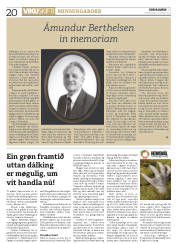 Síða 20