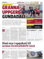 Síða 31