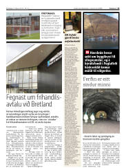 Síða 11