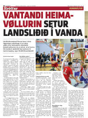 Síða 20