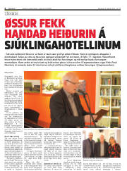 Síða 8