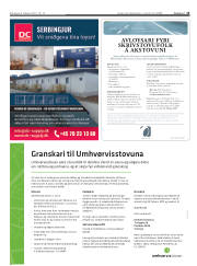 Síða 13