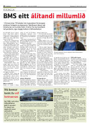 Síða 28