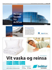 Síða 31