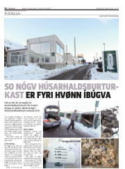 Síða 36