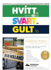 Síða 37