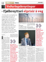Síða 12