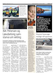Síða 3