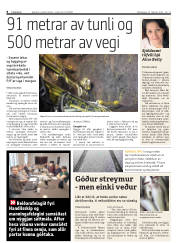 Síða 8