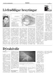 Síða 15