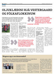 Síða 14