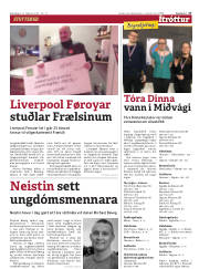 Síða 17
