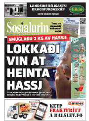 Síða 1