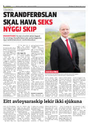 Síða 8