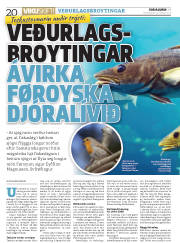 Síða 20