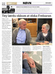 Síða 22
