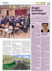 Síða 25