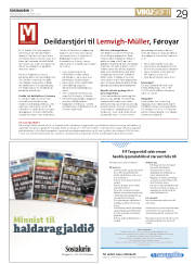 Síða 29
