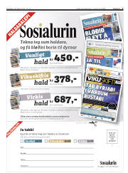 Síða 3