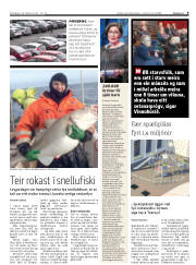 Síða 9