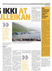 Síða 11