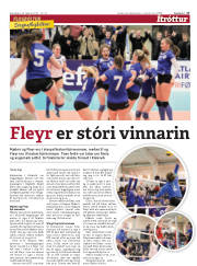 Síða 17