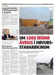 Síða 8