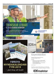 Síða 11