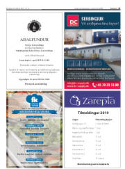 Síða 13